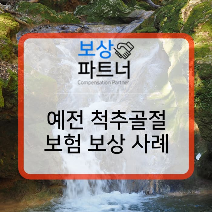 요추1번압박골절 : 예전 척추골절 후유장해 (후유장해) 보상 사례, 창원손해사정