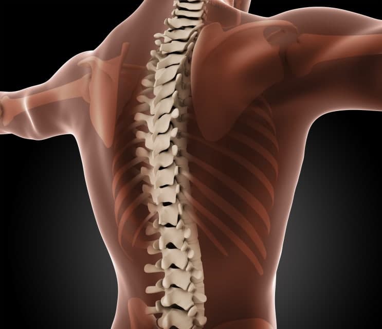 허리골절 진단만 받아도 후유장해 보상 받을 수 있는 이유