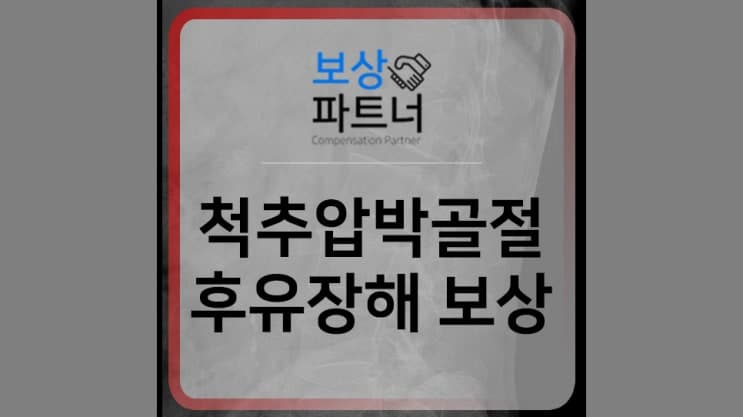 빙판길 사고 요추 1번 흉추 12번 척추 압박골절 후유장해보험 추가 보상 사례