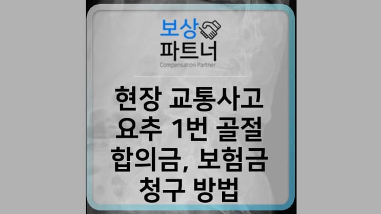 덤프트럭 현장 교통사고 L1(요추 1번) 골절 합의금, 보험금 보상 후기