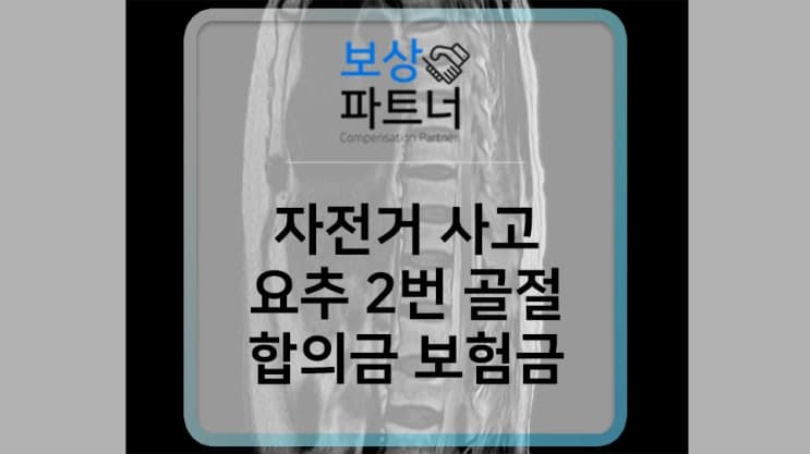 자전거 사고 (요추 2번 골절) 합의금, 보험금 받는 방법