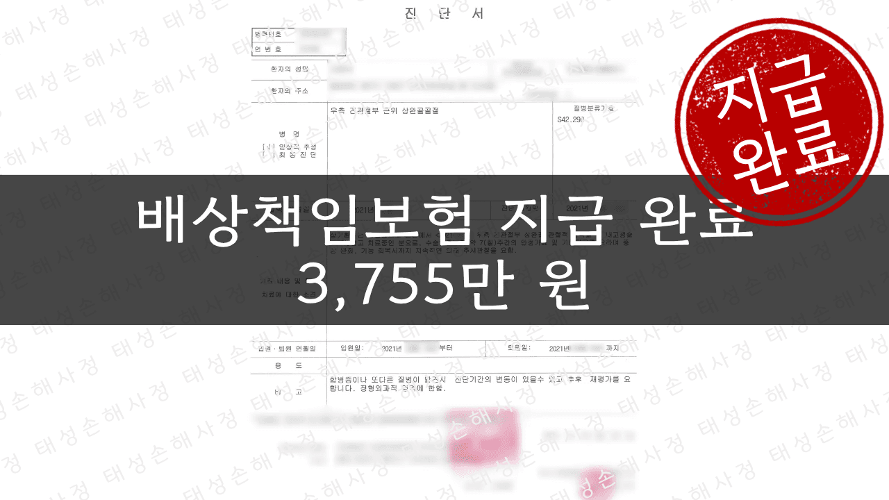 배상책임보험 3,755만 원 보상 - 공항 시설물 낙상사고| 태성손해사정